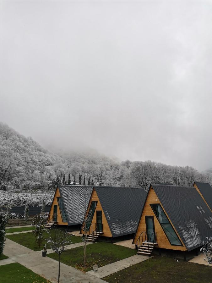 Reserve Resort Lagodekhi Exterior photo