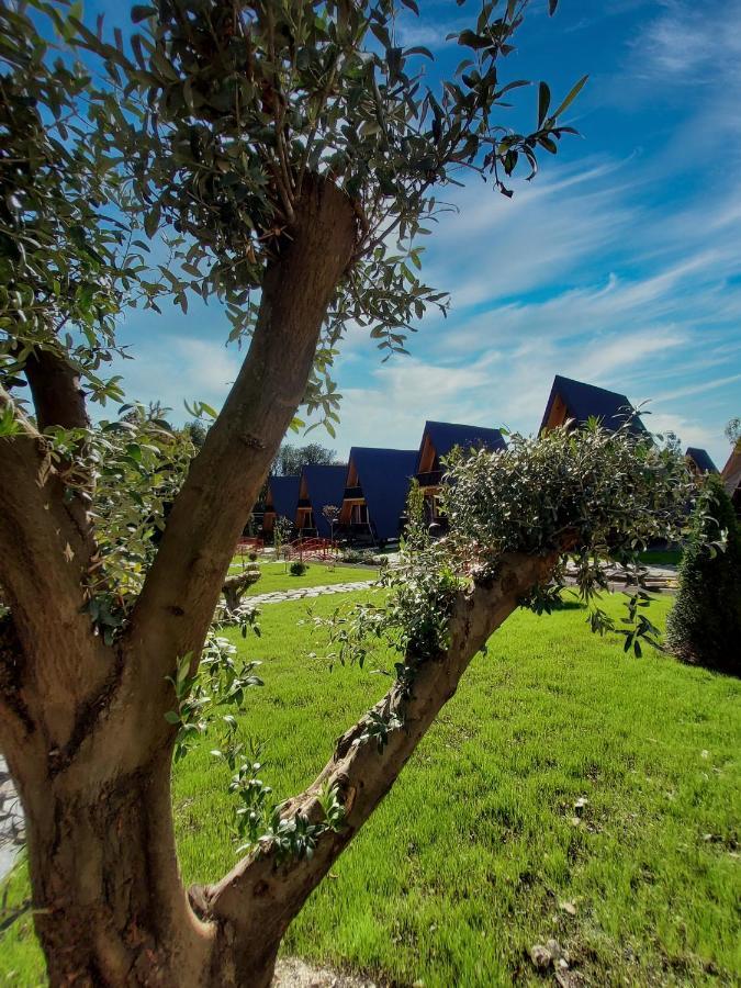Reserve Resort Lagodekhi Exterior photo