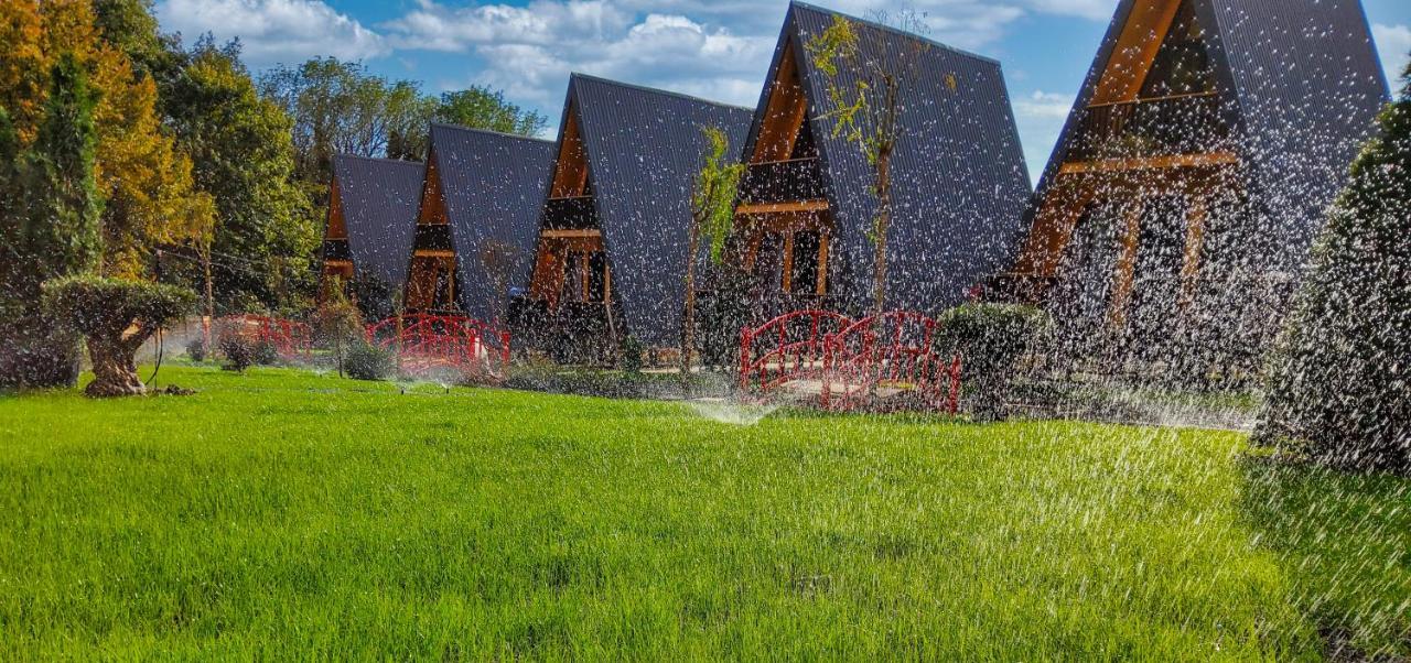 Reserve Resort Lagodekhi Exterior photo